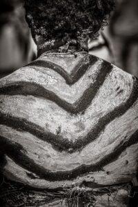 A zebra is shown in black and white.