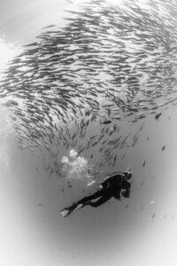 A person in scuba gear swimming under the water.