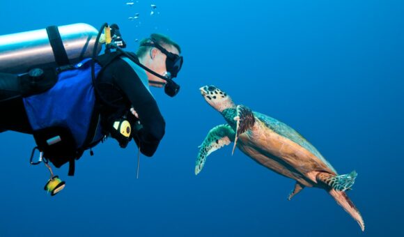 A person in scuba gear and a turtle swimming.