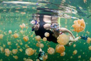 A person swimming in the water with many jellyfish.