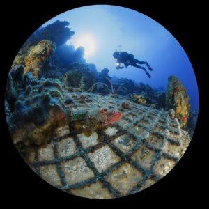 A person scuba diving in the ocean with coral.