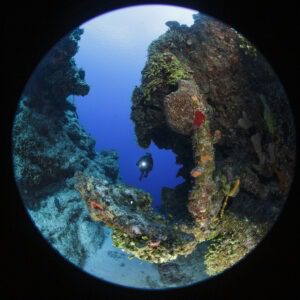 A fish eye lens view of the ocean.