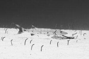 A black and white photo of some snow
